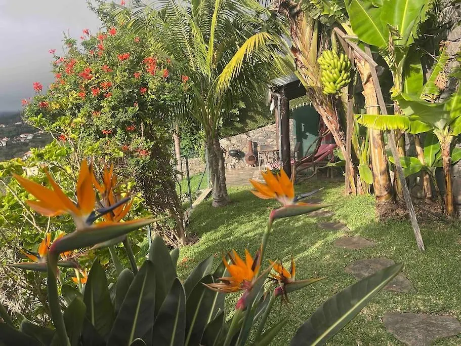 Lucky Lemons - Boutique Houses Madeira Calheta  Calheta (Madeira)